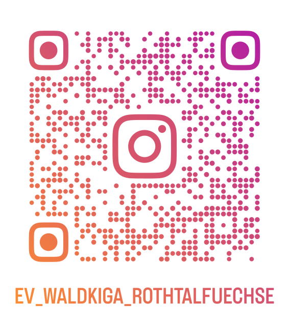 Instagram Waldkindergarten